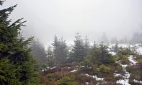 DSC_0167_resize.jpg